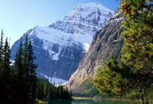 网球比赛中美国选手获得胜利：传奇对决与未来展望