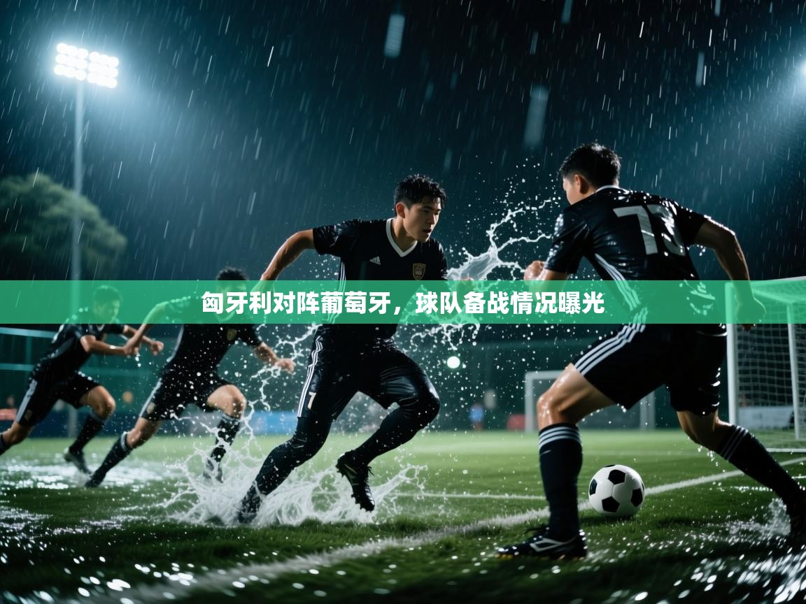 匈牙利对阵葡萄牙，球队备战情况曝光